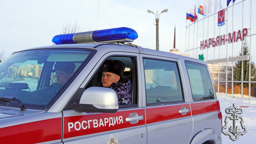 Драка в баре и хулиганы в парке Нарьян-Мара – куда выезжала Росгвардия в новогодние праздники