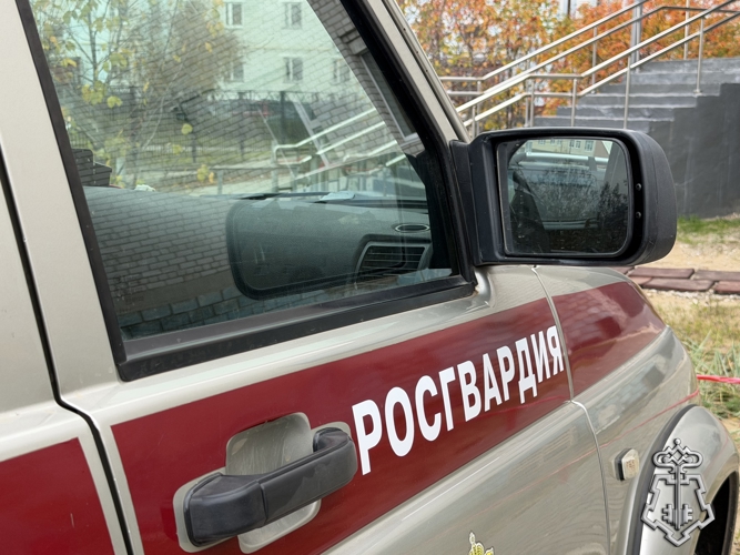 За неделю росгвардейцы Нарьян-Мара выезжали на вызовы 8 раз 